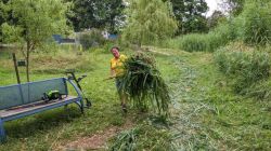 07-PXL_20250711_091317469